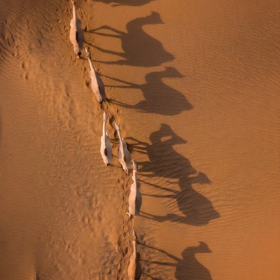 Krēms ar kamieļu pienu un šī sviestu "Camel Milk cream with Shea butter"