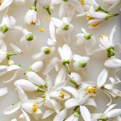 Krēms ar šī sviestu un neroli ēterisko eļļu "Shea butter cream with Neroli"