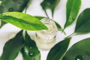 Tea Tree Essential Oil