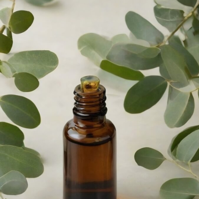 Essentinal oil eucalyptus