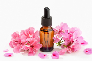 Essential oil geranium
