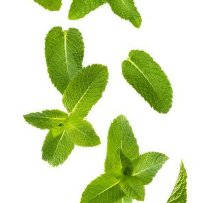 Piparmētru ēteriskā eļļa