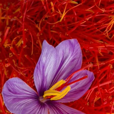 №11 Для здорового сна и восполнения энергии