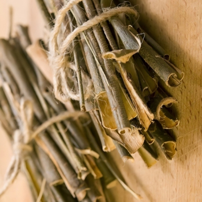 Nr. 24 Kaulu, locītavu, zobu stiprināšana