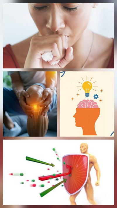 Смола ладана