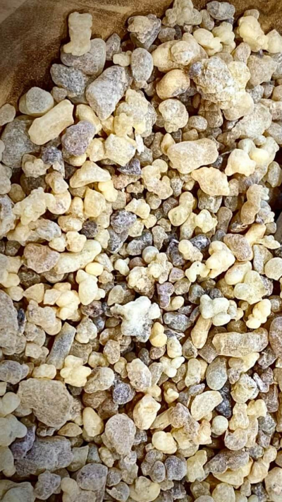 Смола ладана