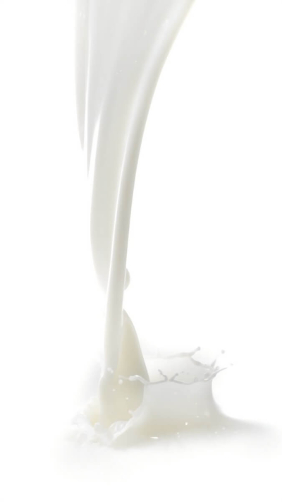 Krēms ar kamieļu pienu un šī sviestu "Camel Milk cream with Shea butter"