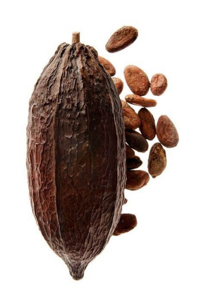 Kazas piena krēms ar šī sviestu "Goat’s milk cream with Shea butter"