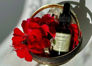 Essential oil geranium
