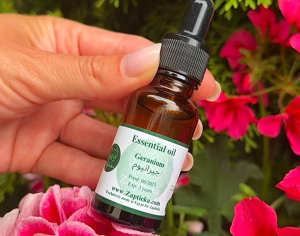 Essential oil geranium