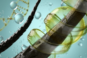 Кондиционер с маслом ши  и эфирным маслом чайного дерева для свежести и баланса кожи головы "Hair conditioner with Shea butter & Tea Tree Essential Oil"