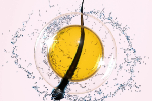 Conditioner with Shea Butter and Argan Oil for Dry and Color-Treated Hair