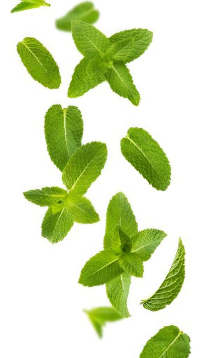 Piparmētru ēteriskā eļļa