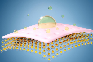 Jojoba oil (cosmetic grade, first cold pressed)