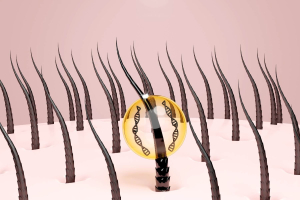 Shampoo with Natural Oils & Citrus Essential Oils for Hair Oily at the Roots and Dry at the Ends