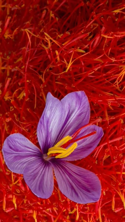 №11 Для здорового сна и восполнения энергии