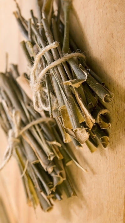 Nr. 24 Kaulu, locītavu, zobu stiprināšana