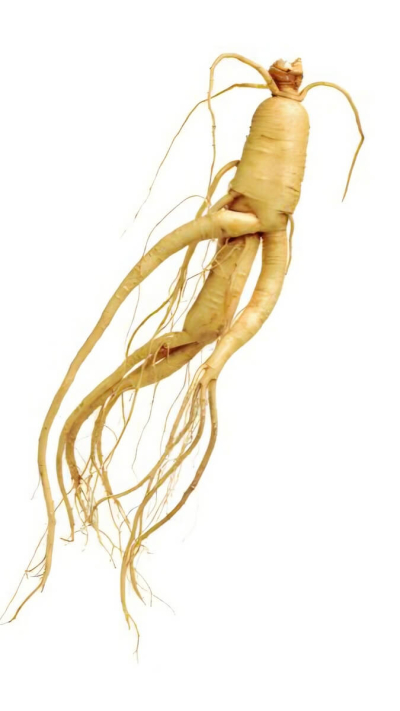 Nr. 9 Vīriešu veselībai